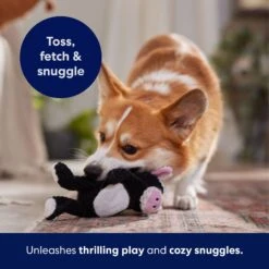 Frisco Cow Textured Plush Squeaky Dog Toy -Pet Dog Supply Store 147059 PT5. AC SS1800 V1691776636