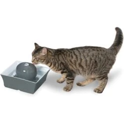 PetSafe Drinkwell Seascape Ceramic Dog & Cat Fountain -Pet Dog Supply Store 147502 PT6. AC SS1800 V1608080245