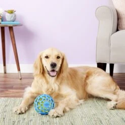 Nerf Dog EXO Treat Dispensing Ball Dog Toy 16 Nerf Dog EXO Treat Dispensing Ball Dog Toy -Pet Dog Supply Store 148523 PT6. AC SS1800 V1531937566