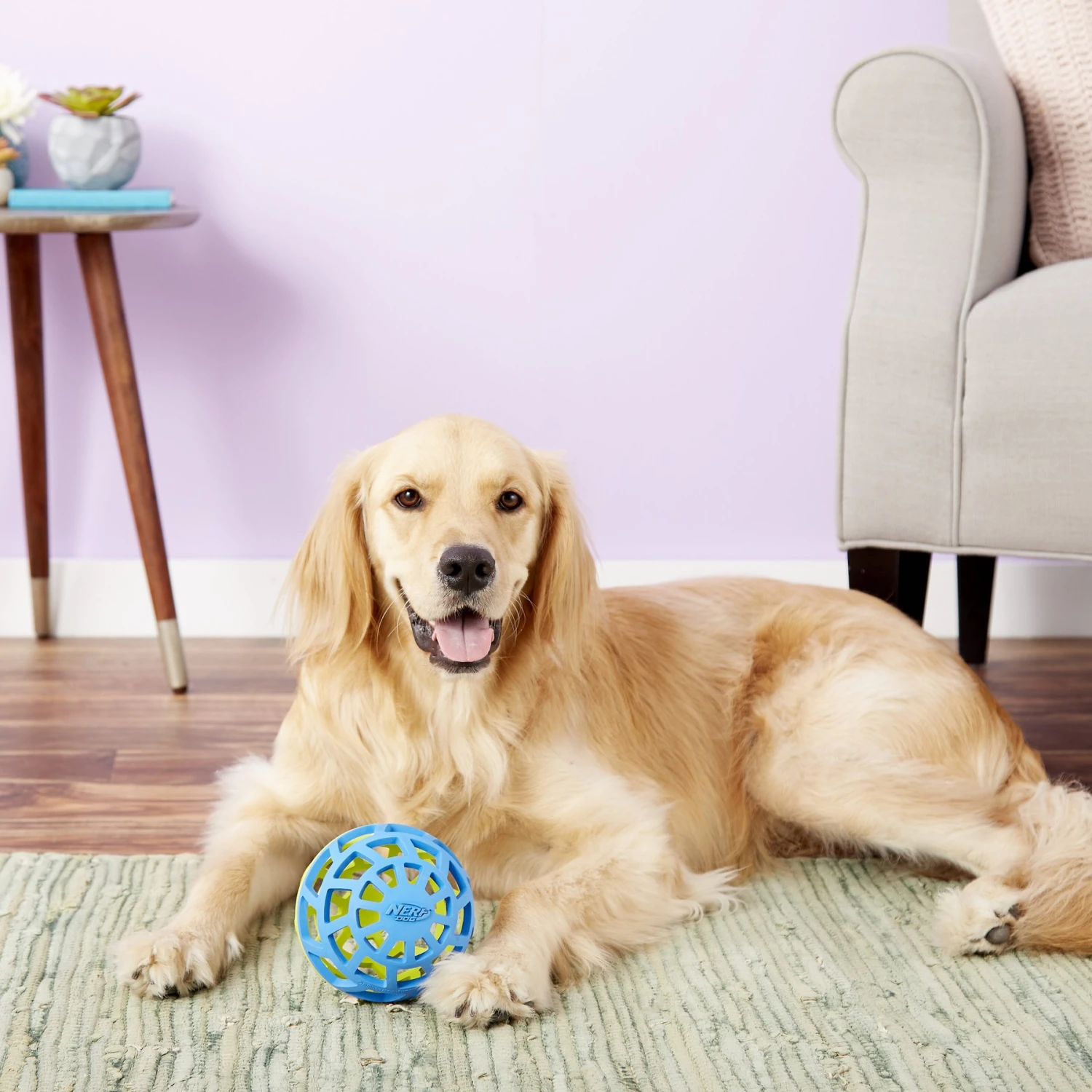 Nerf Dog EXO Treat Dispensing Ball Dog Toy 9 Nerf Dog EXO Treat Dispensing Ball Dog Toy - Image 7