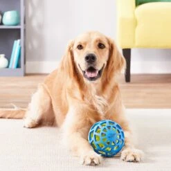 Nerf Dog EXO Treat Dispensing Ball Dog Toy 17 Nerf Dog EXO Treat Dispensing Ball Dog Toy -Pet Dog Supply Store 148523 PT7. AC SS1800 V1545252610