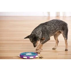 Nina Ottosson By Outward Hound Twister Puzzle Game Dog Toy -Pet Dog Supply Store 148598 PT6. AC SS1800 V1636514895