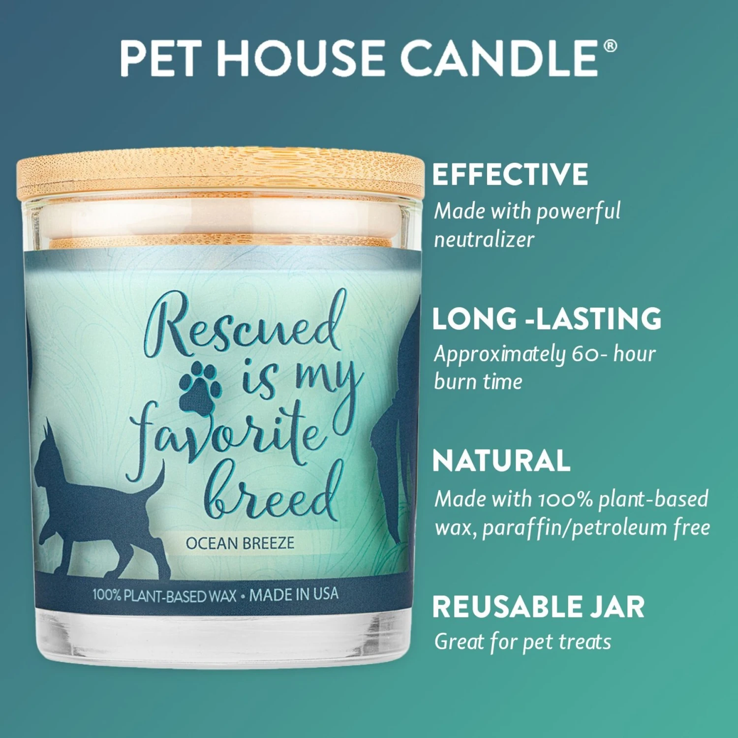 Pet House Ocean Breeze Natural Plant-Based Wax Sentiment Candle 6 Pet House Ocean Breeze Natural Plant-Based Wax Sentiment Candle - Image 4