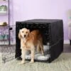 MidWest ICrate Double Door Collapsible Wire Dog Crate Kit -Pet Dog Supply Store 150532 MAIN. AC SS1800 V1575905015