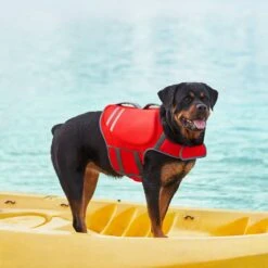 Frisco Neoprene Dog Life Jacket 18 Frisco Neoprene Dog Life Jacket -Pet Dog Supply Store 152465 PT7. AC SS1800 V1631058734