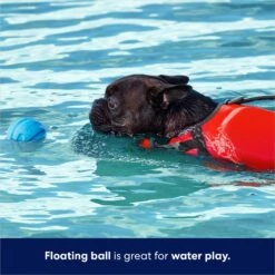 Frisco Foam Rubber Floating Fetch Ball No Squeak Dog Toy -Pet Dog Supply Store 152798 PT3. AC SS1800 V1686579688