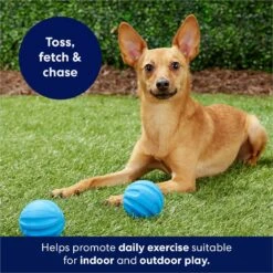 Frisco Foam Rubber Floating Fetch Ball No Squeak Dog Toy -Pet Dog Supply Store 152798 PT4. AC SS1800 V1686579140