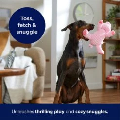 Frisco Corduroy Plush Squeaking Pig Dog Toy 12 Frisco Corduroy Plush Squeaking Pig Dog Toy -Pet Dog Supply Store 152832 PT4. AC SS1800 V1695671001