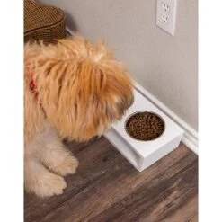 Internet's Best Modern Elevated Dog & Cat Bowls -Pet Dog Supply Store 154379 PT4. AC SS1800 V1540502048