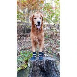 Bark Brite All Weather Reflective Neoprene Dog Boots, 4 Count 16 Bark Brite All Weather Reflective Neoprene Dog Boots, 4 Count -Pet Dog Supply Store 155000 PT5. AC SS1800 V1613689593