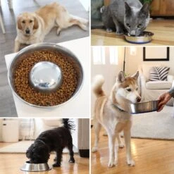 OurPets Durapet Premium Stainless Steel Slow-Feed Dog Bowl -Pet Dog Supply Store 155052 PT6. AC SS1800 V1638837412