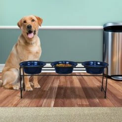 Platinum Pets Modern Triple Diner Elevated Wide Rimmed Dog & Cat Bowl -Pet Dog Supply Store 155508 PT4. AC SS1800 V1628181087