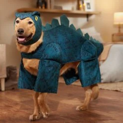 Frisco Stegosaurus Dinosaur Dog & Cat Costume -Pet Dog Supply Store 158777 PT7. AC SS1800 V1567180627