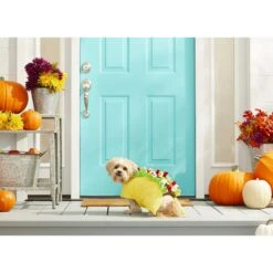Frisco Taco Dog & Cat Costume 11 Frisco Taco Dog & Cat Costume -Pet Dog Supply Store 158826 PT3. AC SS1800 V1567175798