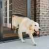 PetSafe Window & Porch Screen Pet Door