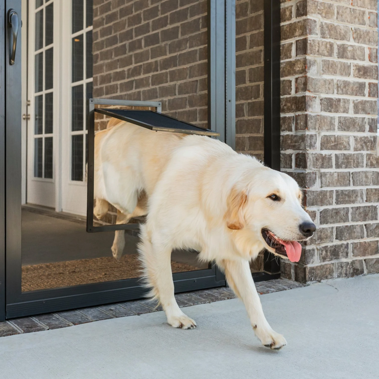 PetSafe Window & Porch Screen Pet Door 3 PetSafe Window & Porch Screen Pet Door