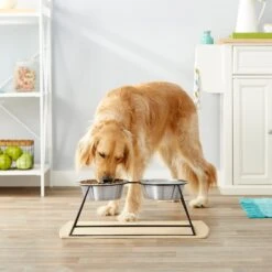 Frisco Pyramid Elevated Stainless Steel Double Diner Dog & Cat Bowl -Pet Dog Supply Store 159884 PT3. AC SS1800 V1561123346