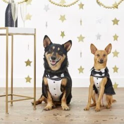 Frisco Formal Dog & Cat Tuxedo, Black -Pet Dog Supply Store 160819 PT3. AC SS1800 V1567176451