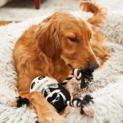 Frisco Halloween Skeleton Plush With Rope Squeaky Dog Toy 9 Frisco Halloween Skeleton Plush With Rope Squeaky Dog Toy -Pet Dog Supply Store 161358 PT6. AC SS1800 V1597599370