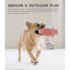 Outward Hound Accordionz Gator Stuffing-Free Squeaky Dog Toy -Pet Dog Supply Store 162058 PT3. AC SS1800 V1631680949