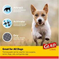 Glad For Pets Activated Carbon Dog Training Pads, 23" X 23" -Pet Dog Supply Store 162998 PT5. AC SS1800 V1678378425