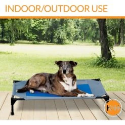 K&H Pet Products Coolin' Pet Cot Elevated Pet Bed 15 K&H Pet Products Coolin' Pet Cot Elevated Pet Bed -Pet Dog Supply Store 164028 PT4. AC SS1800 V1620847118