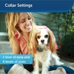 PetSafe Little Dog In-Ground Fence -Pet Dog Supply Store 166185 PT4. AC SS1800 V1626451352