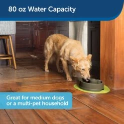 PetSafe Current Circulating Pet Fountain -Pet Dog Supply Store 166258 PT6. AC SS1800 V1598894175