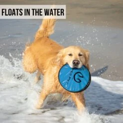 Hyper Pet Flippy Flopper Flying Disc Dog Toy 14 Hyper Pet Flippy Flopper Flying Disc Dog Toy -Pet Dog Supply Store 169579 PT3. AC SS1800 V1631051199