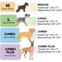 FurHaven Quilted Memory Top Bolster Cat & Dog Bed With Removable Cover 13 FurHaven Quilted Memory Top Bolster Cat & Dog Bed With Removable Cover -Pet Dog Supply Store 172324 PT2. AC SS1800 V1703880836