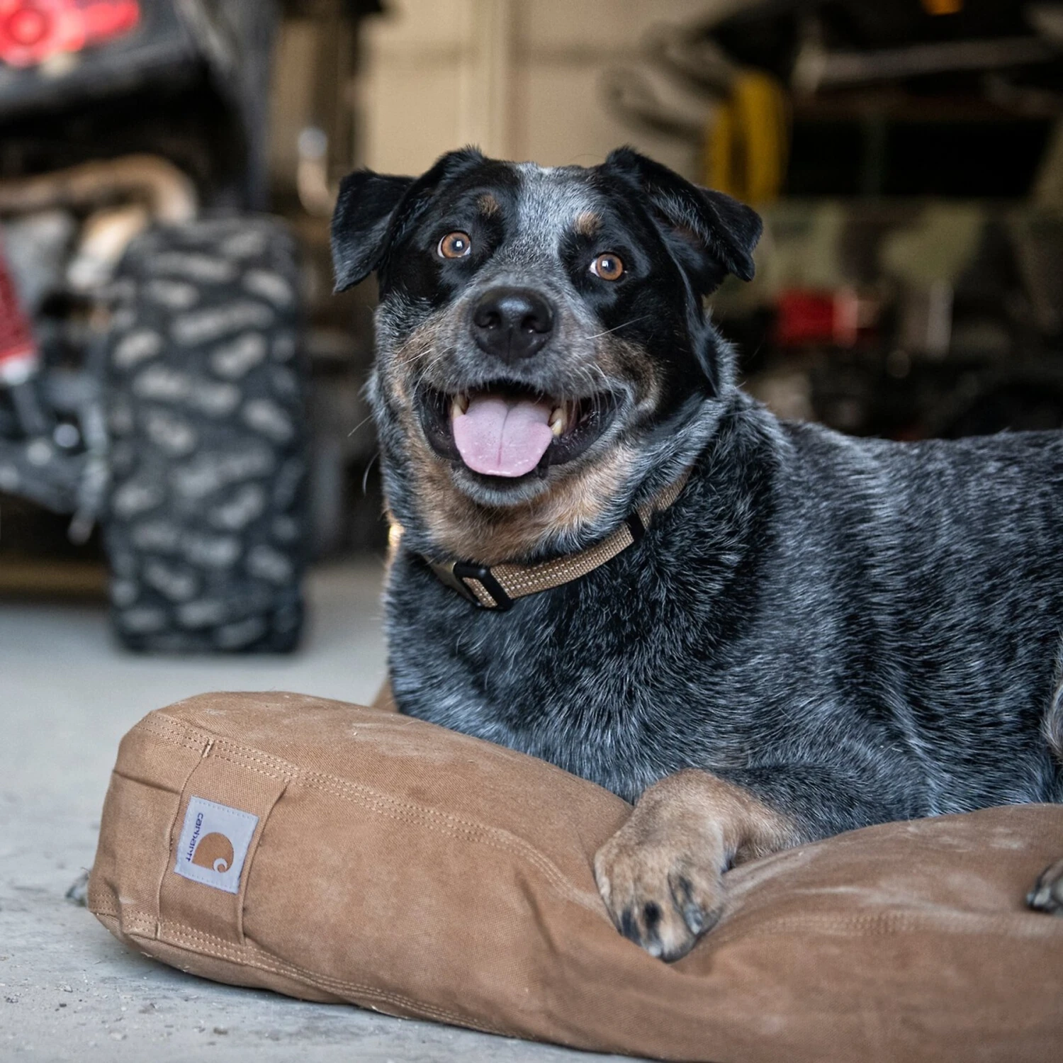 Carhartt Pillow Dog Bed With Removable Cover 7 Carhartt Pillow Dog Bed With Removable Cover - Image 5