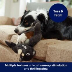 Frisco Rhino Muscle Plush Squeaky Dog Toy -Pet Dog Supply Store 174719 PT3. AC SS1800 V1691784246