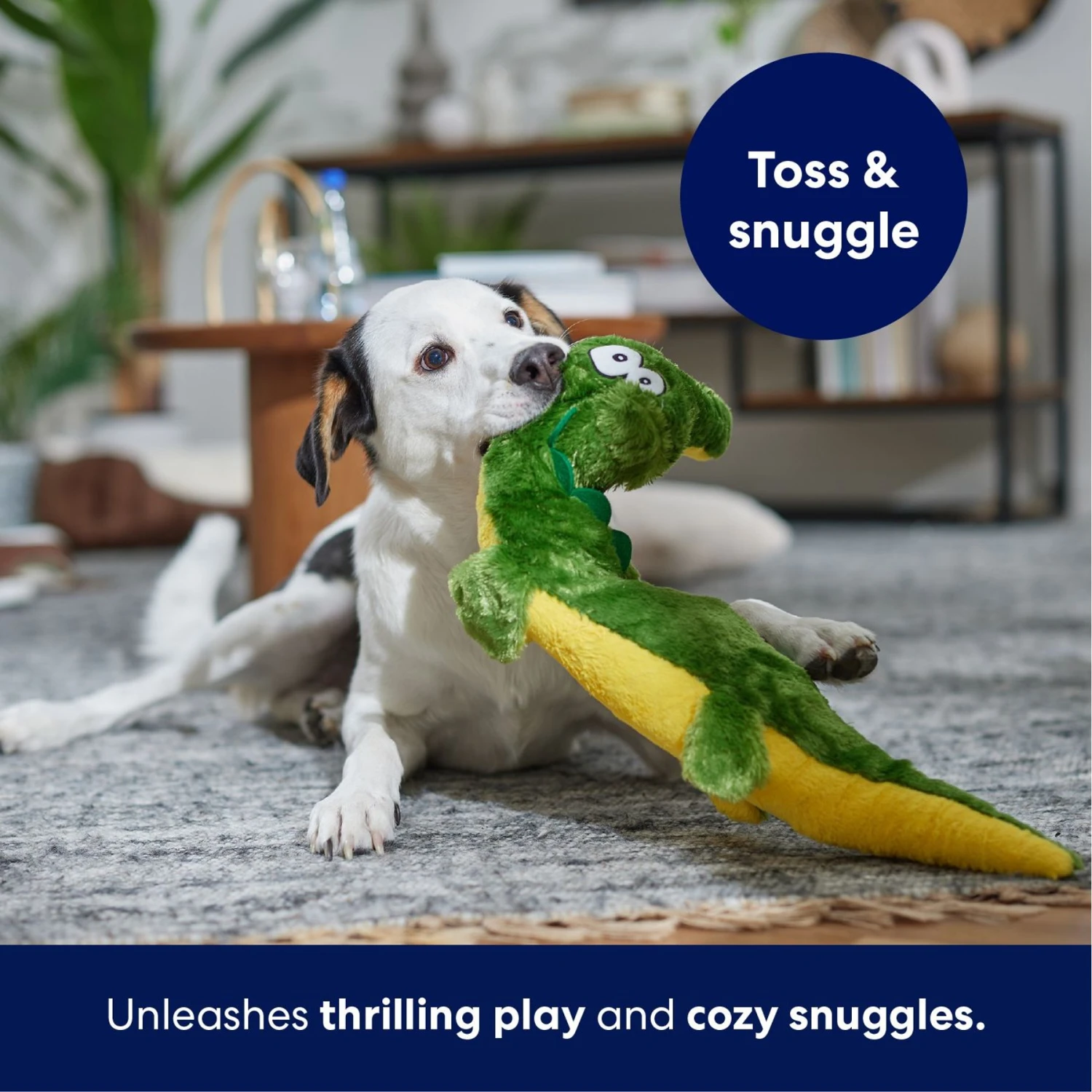 Frisco Alligator Wagazoo Plush Squeaky Dog Toy 7 Frisco Alligator Wagazoo Plush Squeaky Dog Toy - Image 5