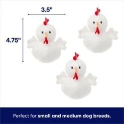 Frisco Chicken Coop Hide & Seek Puzzle Plush Squeaky Dog Toy -Pet Dog Supply Store 174755 PT2. AC SS1800 V1691783968