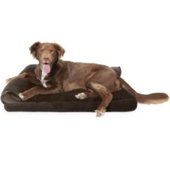 FurHaven Plush Deluxe Chaise Cooling Gel Cat & Dog Bed With Removable Cover -Pet Dog Supply Store 178937 PT3. AC SS1800 V1703798762
