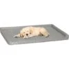 PetFusion PuppyChoice Dog Crate Mat 1 PetFusion PuppyChoice Dog Crate Mat -Pet Dog Supply Store 179774 main. AC SS1800 V1583788077