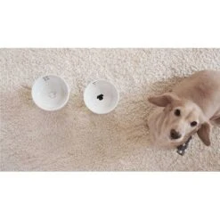 Necoichi Ceramic Elevated Dog Food Bowl, 1.5-cup -Pet Dog Supply Store 183507 PT8. AC SS1800 V1627495579