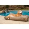 Snoozer Pet Products Rectangular Pillow Dog Bed With Removable Cover 1 Snoozer Pet Products Rectangular Pillow Dog Bed With Removable Cover -Pet Dog Supply Store 185760 MAIN. AC SS1800 V1564072976