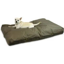 Snoozer Pet Products Rectangular Pillow Dog Bed With Removable Cover 6 Snoozer Pet Products Rectangular Pillow Dog Bed With Removable Cover -Pet Dog Supply Store 185760 PT1. AC SS1800 V1564072976