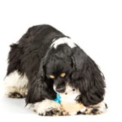 Charming Pet Howling Hoots Squeaky Plush Dog Toy -Pet Dog Supply Store 190532 PT2. AC SS1800 V1594671697