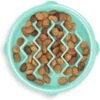 Outward Hound Non-Skid Plastic Slow Feeder Dog Bowl -Pet Dog Supply Store 190603 MAIN. AC SS1800 V1694285518