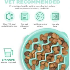 Outward Hound Non-Skid Plastic Slow Feeder Dog Bowl 13 Outward Hound Non-Skid Plastic Slow Feeder Dog Bowl -Pet Dog Supply Store 190603 PT2. AC SS1800 V1694287305