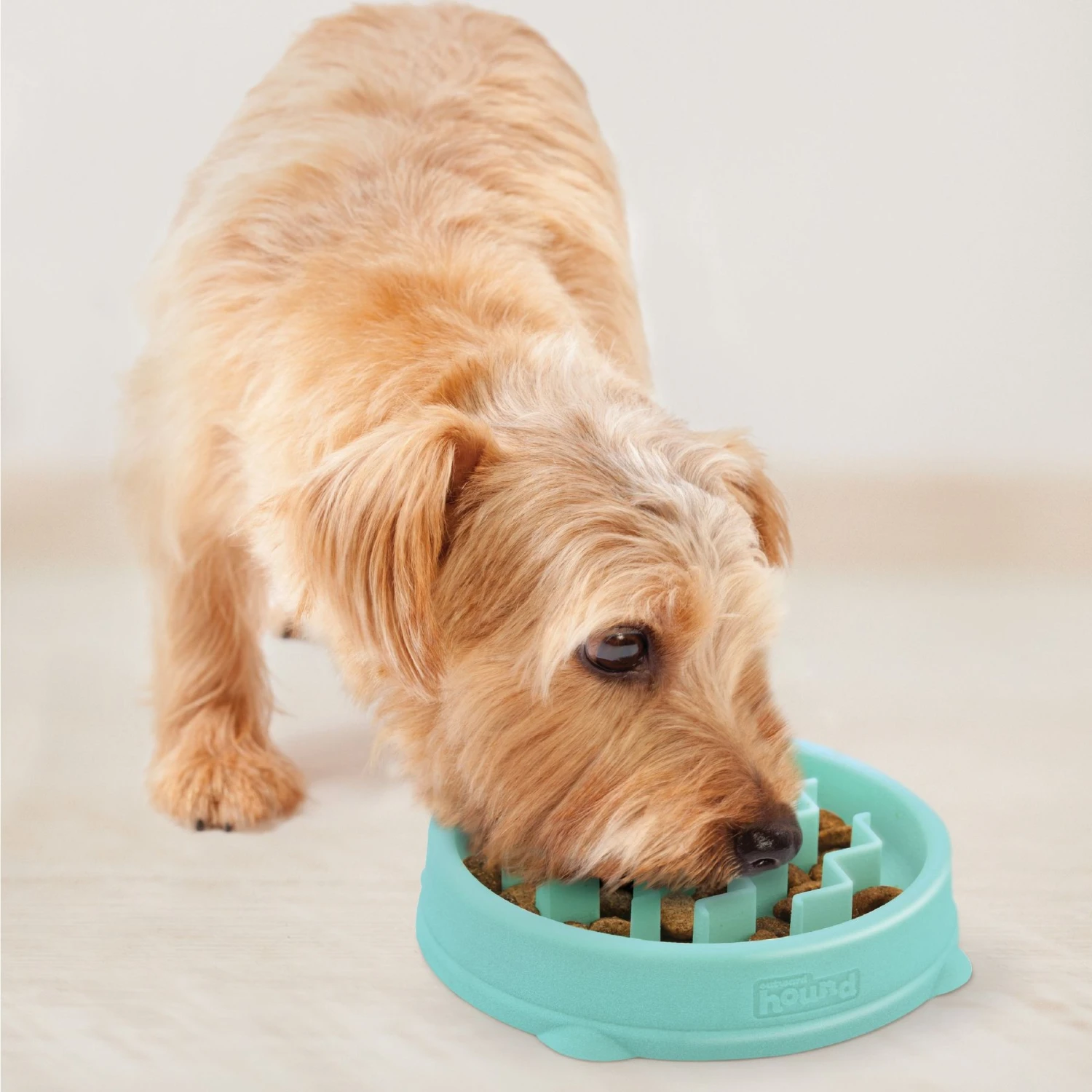 Outward Hound Non-Skid Plastic Slow Feeder Dog Bowl 8 Outward Hound Non-Skid Plastic Slow Feeder Dog Bowl - Image 6