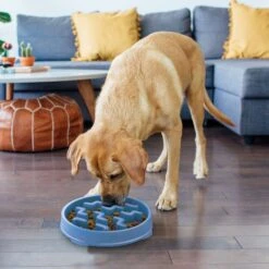 Outward Hound Fun Feeder Slow Feeder Dog Bowl 15 Outward Hound Fun Feeder Slow Feeder Dog Bowl -Pet Dog Supply Store 190604 PT5. AC SS1800 V1694285578