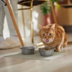 ORE Pet Silicone Dog & Cat Placemat -Pet Dog Supply Store 190789 PT3. AC SS1800 V1684524330