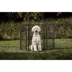 Carlson Pet Products Outdoor Extra Tall Super Wide Dog Gate