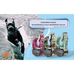 GROOVYPETS Fence & Remote Dog Trainer System, 2 Collars -Pet Dog Supply Store 192129 PT4. AC SS1800 V1626282079