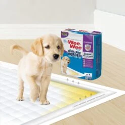Four Paws Wee-Wee Super Absorbent Dog Pee Pads With Insta-Rise Border -Pet Dog Supply Store 192218 PT5. AC SS1800 V1663018022