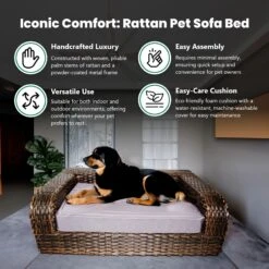 Iconic Pet Rattan Sofa Cat & Dog Bed With Removable Cover, Caramel & Mocha 11 Iconic Pet Rattan Sofa Cat & Dog Bed With Removable Cover, Caramel & Mocha -Pet Dog Supply Store 192466 PT4. AC SS1800 V1568755958