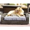 Iconic Pet Rattan Sofa Cat & Dog Bed With Removable Cover, Caramel & Mocha -Pet Dog Supply Store 192466 main. AC SS1800 V1581434935